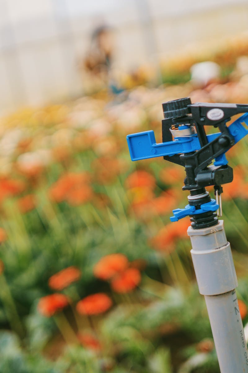 Close-up of a sprinkler in a colorful flower field, enhancing growth in a greenhouse.